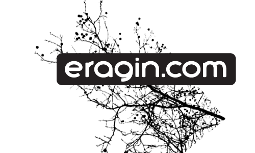 eragin.com